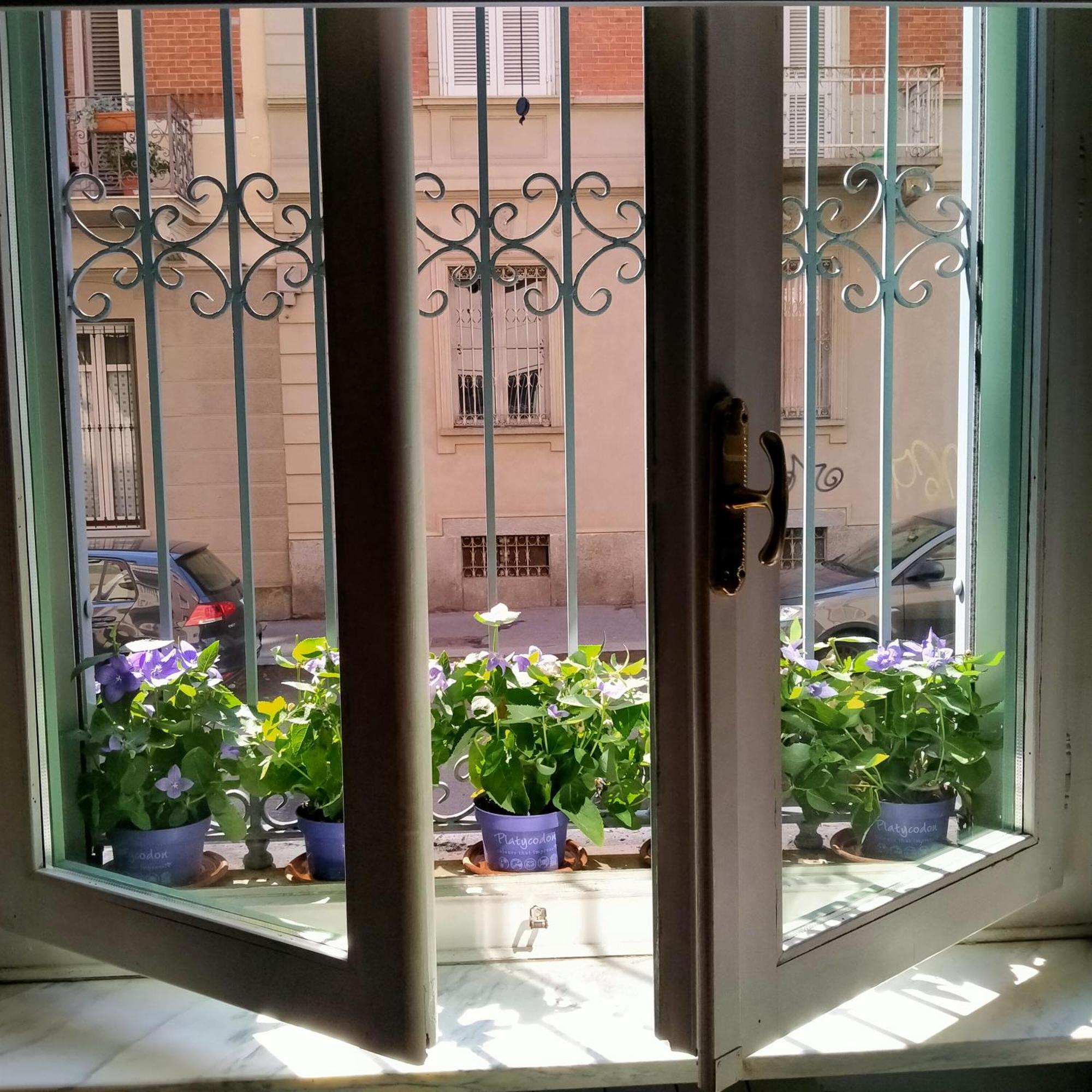 Apartamento La Graziosa Torino, Porta Susa